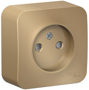 фото Розетка Systeme Electric BLNRA001114