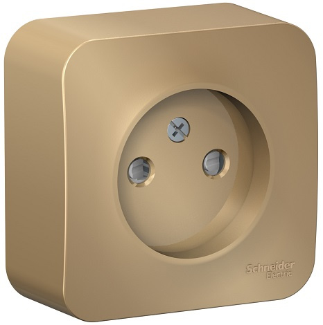фото Розетка  Systeme Electric BLNRA001114 в Самаре