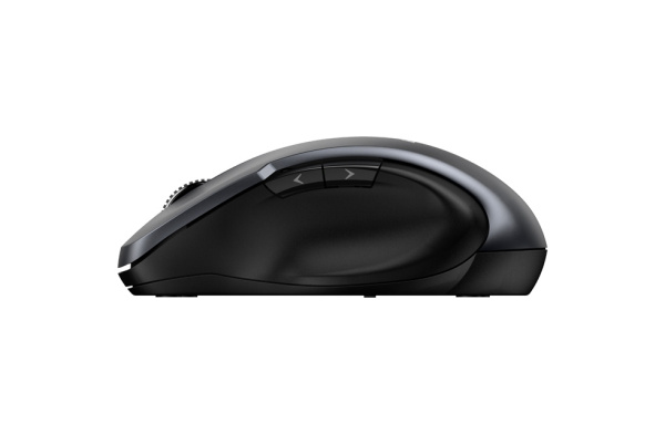 фото Мышь Wireless Genius Ergo 8200S в Казани