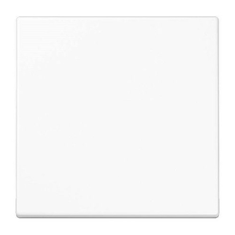 Изображение товара Клавиша Jung EP490WW для вертикального монтажа EcoProfi 1 пост