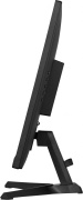 фото Монитор Iiyama G-Master