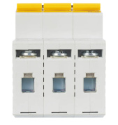 фото Автоматический выключатель IEK MVA31-3-040-C