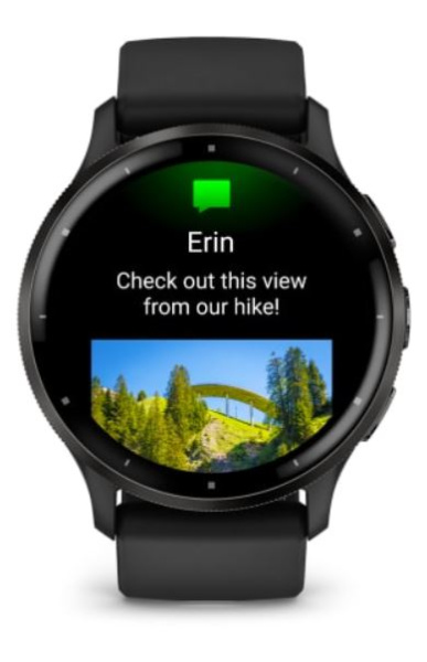 фото Часы Garmin Venu 3
