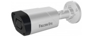 фото Видеокамера Falcon Eye FE-IPC-BV2-50pa