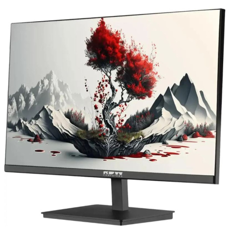 фото Монитор 23,8" RDW Computers RDW2401K в Омске