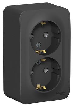 

Розетка Schneider Electric BLNRA010216 2-ая с/з без шторок 16А, 250В, изолир. пластина Антрацит наруж, BLNRA010216