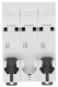 фото Автоматический выключатель  Systeme Electric C9F14332 в Санкт-Петербургe