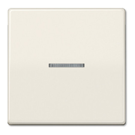 Изображение товара Клавиша Jung EP490KO накладка для выключателя серия EcoProfi вертикальная