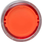 фото Механизм кнопки исполнительный EKF XB4BW-R