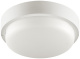 фото Светильник светодиодный WOLTA LCL04-8W-R11-6K-SOA в Челябинске