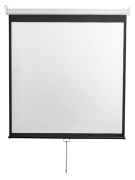 фото Экран Digis Optimal-D DSOD-4304