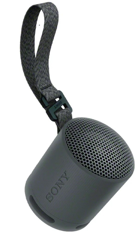 

Портативная акустика Sony SRS XB100 цвет: черный, SRS XB100
