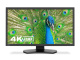 фото Монитор 31,1" NEC PA311D