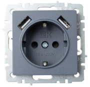 фото Розетка с заземлением IEK BR-R14-16-U21-D21-K35