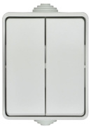 фото Выключатель двухклавишный  IEK EVS20-K01-10-54-DC
