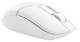 фото Мышь wireless A4Tech Fstyler FB12
