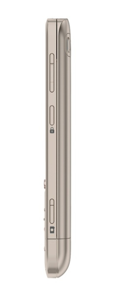 фото   Nokia C3-01.5 Khaki Gold