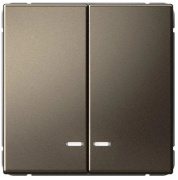 фото Выключатель двухклавишный  Systeme Electric GAL000651