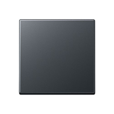 Изображение товара Клавиша Jung A590BFANM для выключателя серии A 500