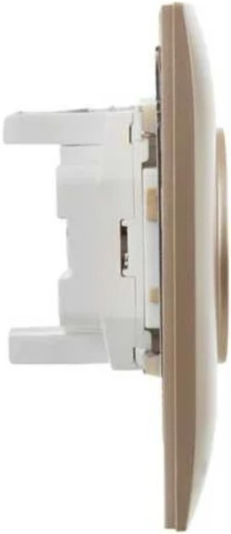 фото Розетка двухместная без заземления в сборе IEK SK-R23-10-K98-F в Ростове-на-Дону