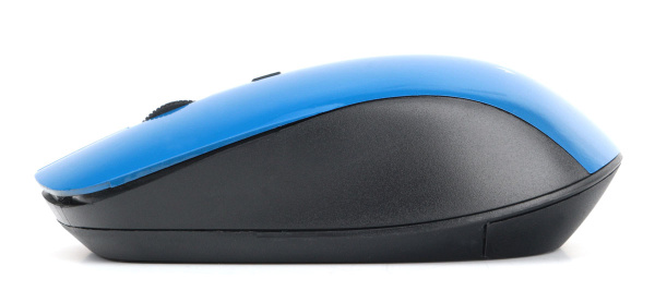 фото Мышь Wireless Gembird MUSW-250-2 в Уфе
