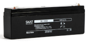 фото Аккумулятор Бастион SKAT SB 12022