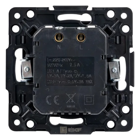 фото Розетка USB двухместная  EKF EZR-2USB-type-C в Уфе