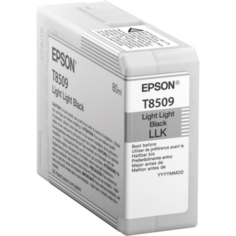 Изображение товара Картридж Epson C13T850900 для профессиональной фотопечати