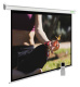 фото Экран  Cactus CS-PSME-200X200-WT в Екатеринбурге