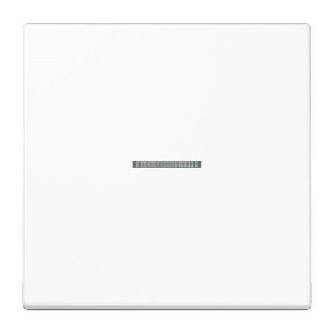 Изображение товара Клавиша Jung EP490KOWW накладка для выключателя серия EcoProfi