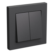 фото Выключатель двухклавишный  Systeme Electric ATN001452