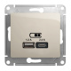 фото Розетка USB  Systeme Electric GSL000939