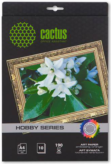 фото Фотобумага  Cactus CS-DA419010 в Уфе