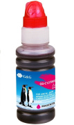 фото Чернила G&G GG-C13T00S34A