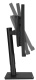 фото Монитор 34" ASUS ProArt PA348CGV