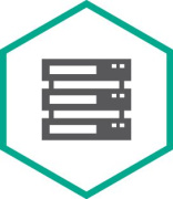 фото Право на использование Kaspersky Security для систем хранения данных, Server. 20-24 FileServer 1 year Base