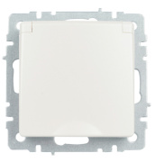 фото Розетка с заземлением IEK BR-R16-16-K36