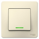 фото Выключатель  Schneider Electric BLNVS010112 в Самаре