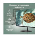 фото Монитор 27" Digma Progress 27P501Q в Красноярске