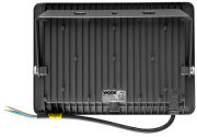 фото Прожектор WOLTA WFL-100W/06