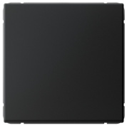 фото Выключатель кнопочный Systeme Electric GAL001015S