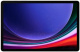 фото Планшет 11" Samsung Galaxy Tab S9 8/128GB 5G в Волгограде