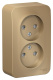 фото Розетка  Systeme Electric BLNRA001214