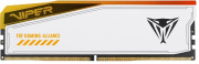 фото Модуль памяти Patriot Memory PVER548G66C34KT