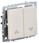 фото Выключатель двухклавишный IEK BR-V15-0-10-K10