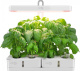 фото Гидропонная установка  Cactus CS-LEDPOT-08
