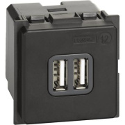 фото Зарядное устройство USB  BTicino K4285C2