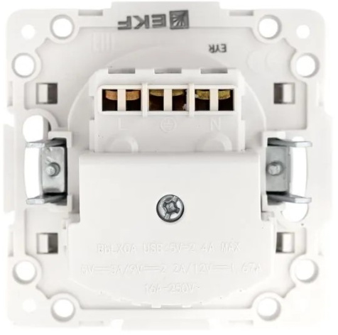 фото Розетка с заземлением с 2 USB  EKF EYR16-2USB-typeA-typeC в Уфе