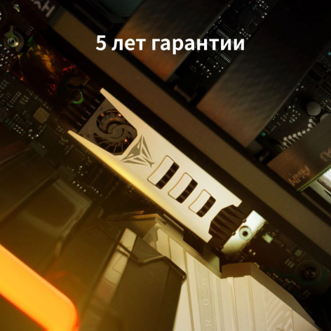 фото Накопитель SSD M.2 2280 Patriot Memory PV553P2TBM28H в Красноярске 2000 ГБ