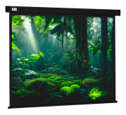 фото Экран Cactus CS-PSW-213X213-BK